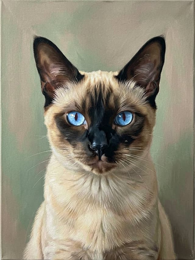 Pet portrait style 20